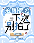 拍得很好,下次别拍了