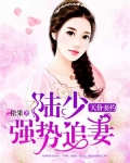 天价妻约:陆少强势追妻