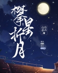 攀星折月