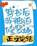穿书后我被迫修罗场