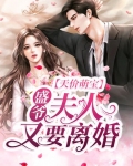 天价萌宝：盛爷，夫人又要离婚！