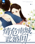 情危南城此婚间