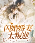 闪婚娇妻太叛逆