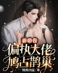 新婚夜,偏执大佬鸠占鹊巢