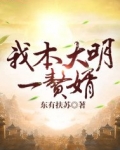 我本大明一赘婿