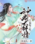 神君太钟情:上仙嫁了吧