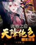 离婚之后:天降绝色未婚妻