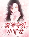 小说秦爷追妻