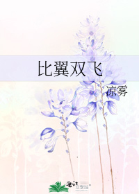 比翼双飞