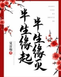 半生缘起，半生缘灭