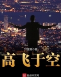 高飞于空
