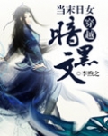 当末日女穿越暗黑文