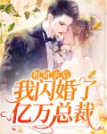 相错亲后,我闪婚了亿万总裁