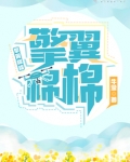 擎翼棉棉