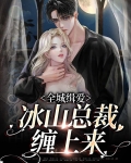 全城缉爱：冰山总裁缠上来