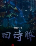 回诗眸