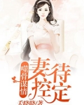 噬骨谋情：妻控待定