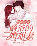 盛世婚宠：爵爷的二婚甜妻