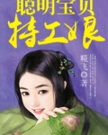 聪明宝贝特工娘