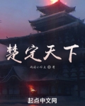 楚定天下