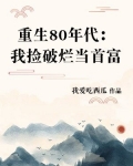 重生80年代:我捡破烂当首富