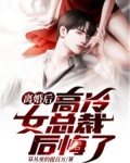 离婚后,高冷女总裁后悔了