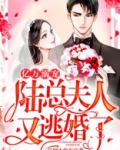 亿万溺宠：陆总，夫人又逃婚了