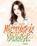 豪门危情:腹黑娇妻别嚣张