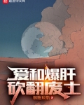 爱和爆肝,砍翻废土