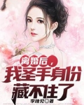 离婚后,我圣手身份藏不住了