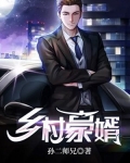 乡村豪婿