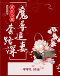 重生为凰：魔尊追妻套路深