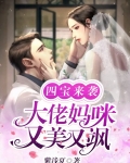 四宝来袭:大佬妈咪又美又飒
