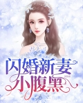 闪婚新妻小腹黑