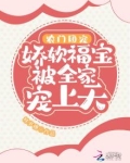 农门团宠:娇软福宝被全家宠上天