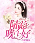 婚不由己:陆总晚上好!