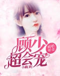 暖婚娇妻:顾少,超会宠