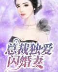 总裁独爱闪婚妻