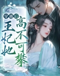 穿越后,王妃她高不可攀