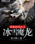 妖精的尾巴之冰雪魔龙