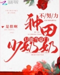 不努力种田只能当豪门少奶奶