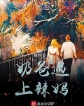 奶爸遇上辣妈
