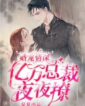 婚宠情深:亿万总裁夜夜撩