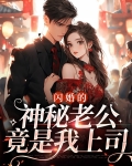 闪婚的神秘老公竟是我上司