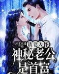 诱妻入怀:神秘老公是首富