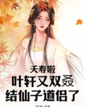 夭寿啦!叶轩又双叒结仙子道侣了