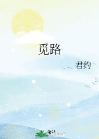 觅路讲的什么故事