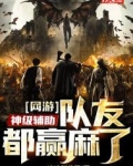 网游：神级辅助，队友都赢麻了