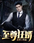 至尊狂婿