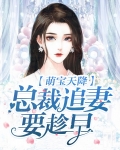 萌宝天降：总裁追妻要趁早